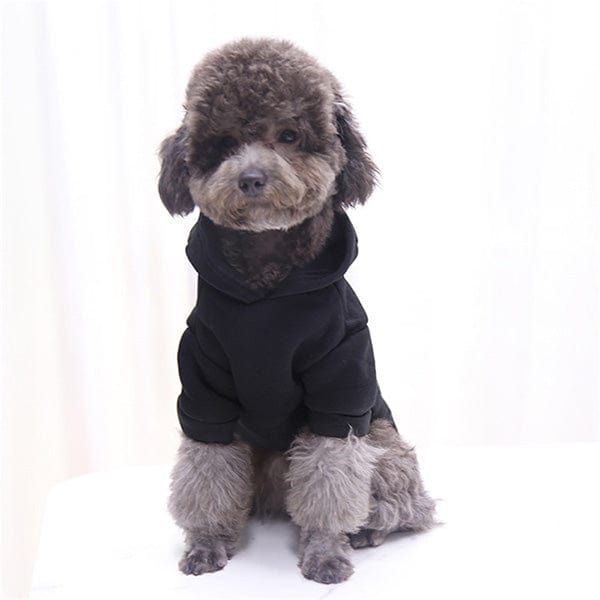Halloween Pet Hoodie Costume