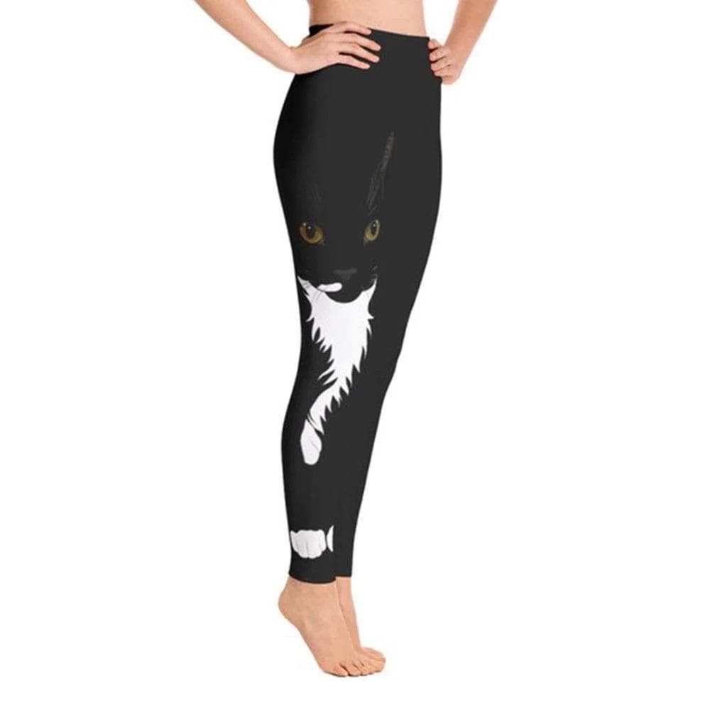 Black Cat Fitness Leggings