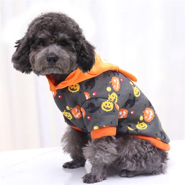 Halloween Pet Hoodie Costume