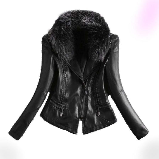 Black - Black Fur