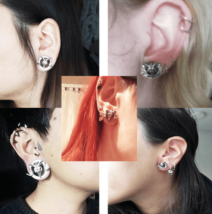 Sheepshead Screw Ear Tunnels