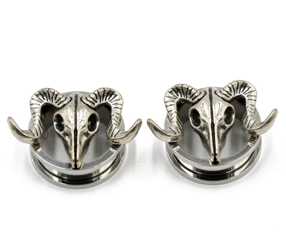 Sheepshead Screw Ear Tunnels