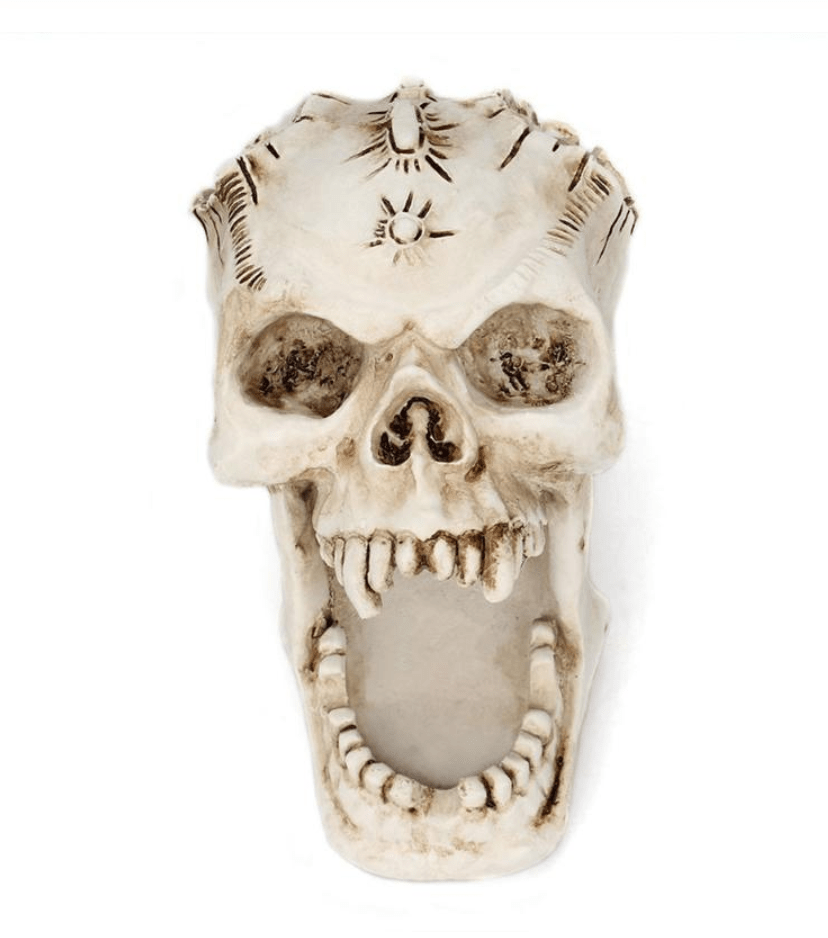 Regin Resin Skull Holder